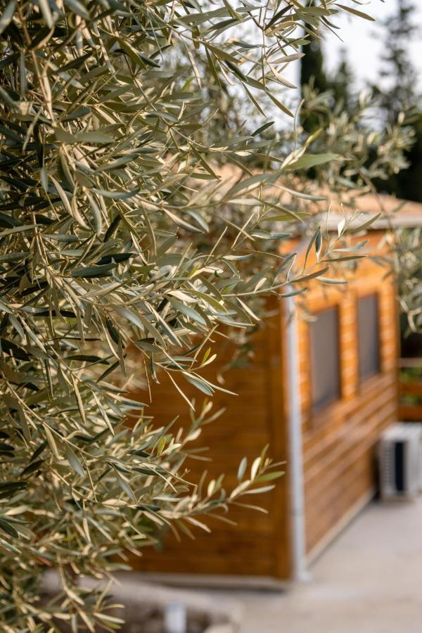 Agrelia Homes * Dragano