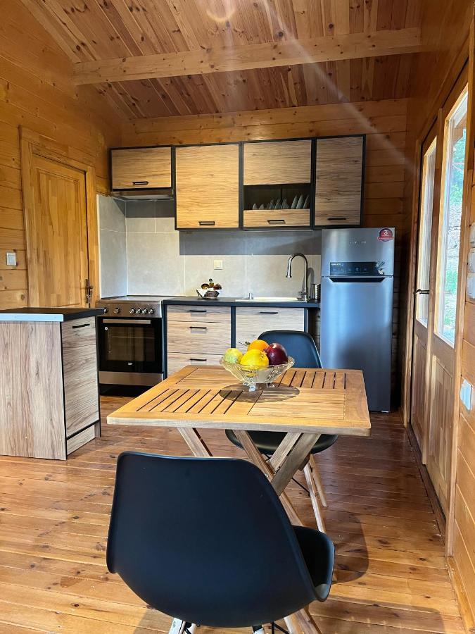 Agrelia Homes Apartment Dragano